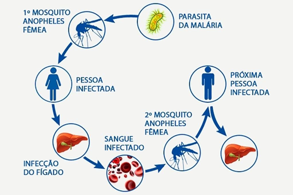 CASOS DE MALÁRIA SE MULTIPLICAM EM JACAREACANGA   DEVIDO A FALTA  DE INTERESSE E ESTRUTURA PARA CONTER O AVANÇO DA DOENÇA