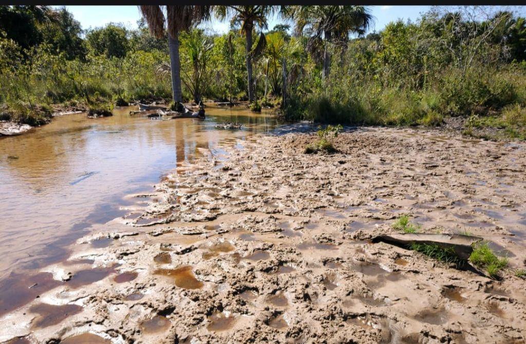 PREFEITURA DE JACAREACANGA: A SATISFAÇÃO PELA DEGRADAÇÃO AMBIENTAL