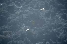 FAB INTERCEPTA AERONAVE SUSPEITA E PILOTO FOGE APÓS POUSO EM RORAIMA.