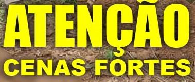 IMAGENS FORTES! ASSALTANTE É CAPTURADO E PUNIDO COM TIROS NA MÃO POR TRAFICANTES. VEJA VÍDEO