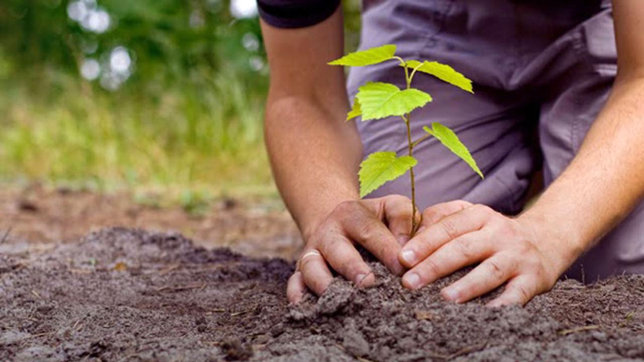 Escola de Itaituba está entre as 10 melhores do mundo com ação ambiental e educação especial