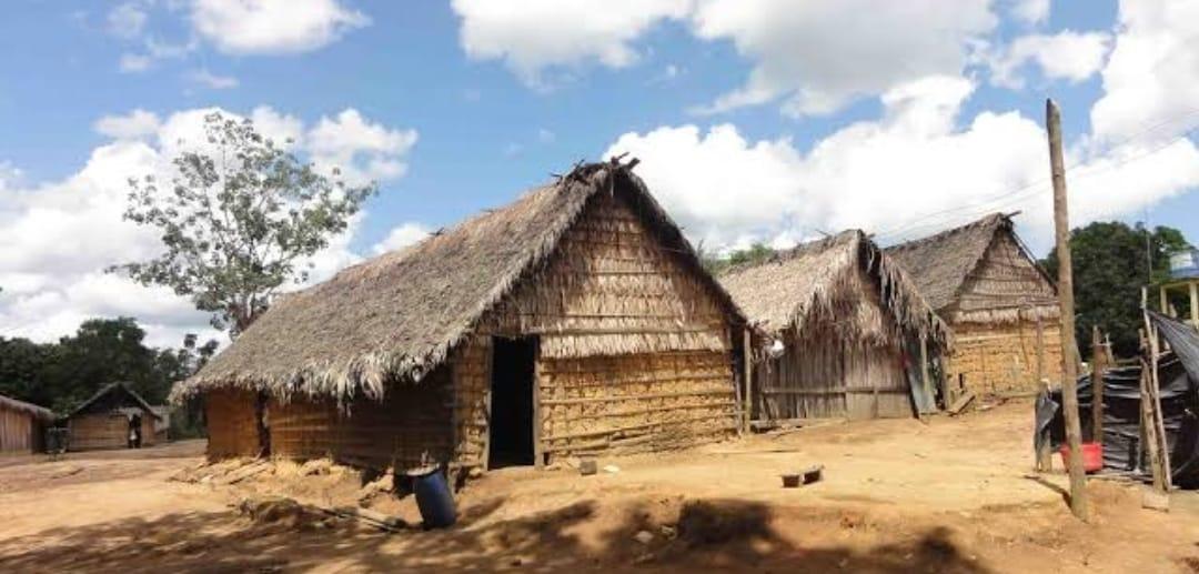 LULA E BARBALHO  ABANDONAM À PRÓPRIA SORTE O POVO INDÍGENA MUNDURUKU