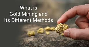 VÍDEO / NOVO PROGRESSO PODE SER O EPICENTRO DA MINERAÇÃO DE OURO NO BRASIL EM 2025