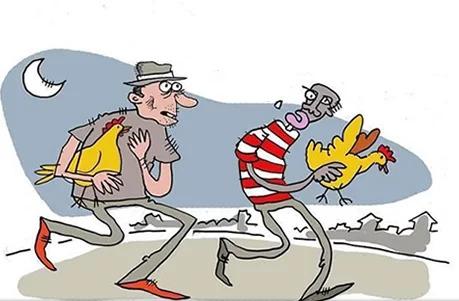 A CULPA É DAS GALINHAS!  QUEM MANDA SEREM GOSTOSAS...!?