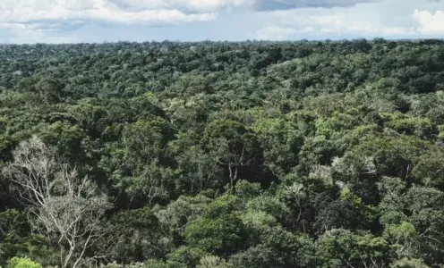 (Vídeo) - CAÇADOR É ENCONTRADO VIVO APÓS 50 DIAS DESAPARECIDO NA FLORESTA NO AMAZONAS