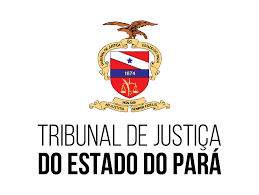TRIBUNAL DE JUSTIÇA DO PARÁ INSTAURA PAD CONTRA JUIZ VINICIUS PEDRASSOLI, MAS NÃO AFASTA DO CARGTO