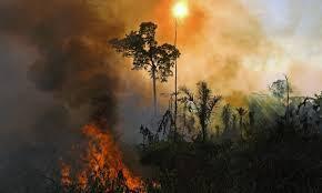 TERRA INDÍGENA MUNDURUKU VOLTA A SER PRESSIONADA PELO DESMATAMENTO