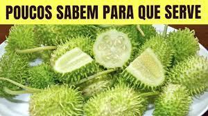 MAXIXE:  REJEITADO, SUBESTIMADO, ESQUECIDO, MESMO SENDO ÚTIL PARA SUA SAÚDE