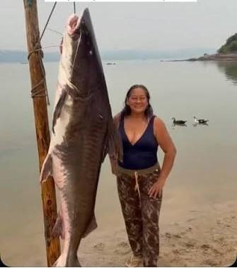 PESCA IMPRESSIONANTE DE PEIXE GIGANTE NO RIO TAPAJÓS CHAMA ATENÇÃO EM JACAREACANGA