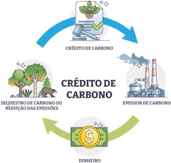 Sistema de credito de carbono