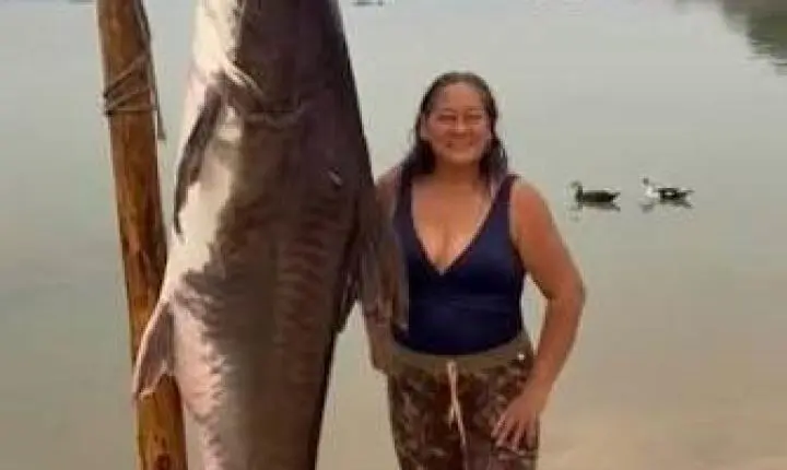 PESCA IMPRESSIONANTE DE PEIXE GIGANTE NO RIO TAPAJÓS CHAMA ATENÇÃO EM JACAREACANGA